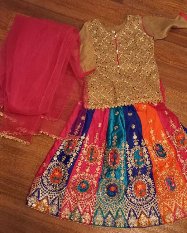 Multi colored lehnga and choli 3