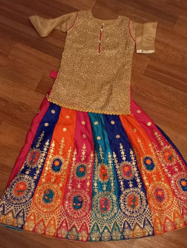 Multi colored lehnga and choli 4