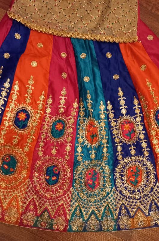 Multi colored lehnga and choli 5