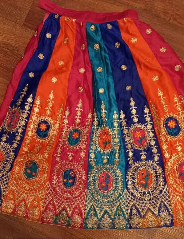 Multi colored lehnga and choli 6