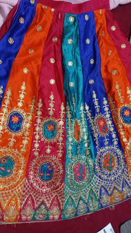 Multi colored lehnga and choli 7