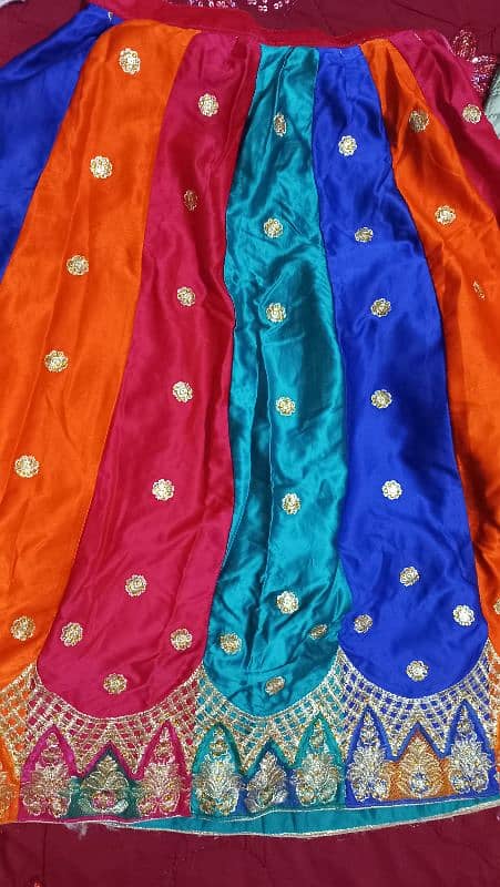 Multi colored lehnga and choli 8