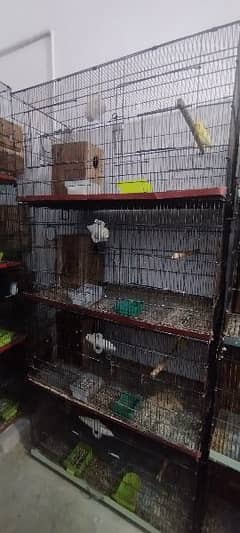 master cage for sale