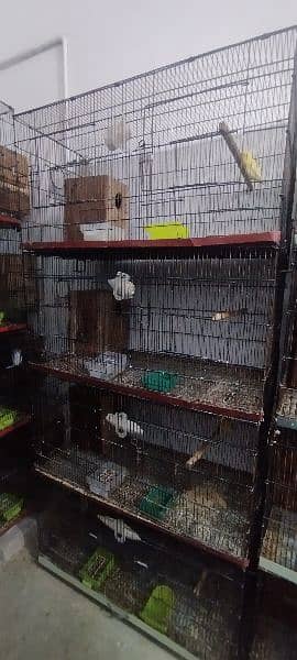 master cage for sale 0