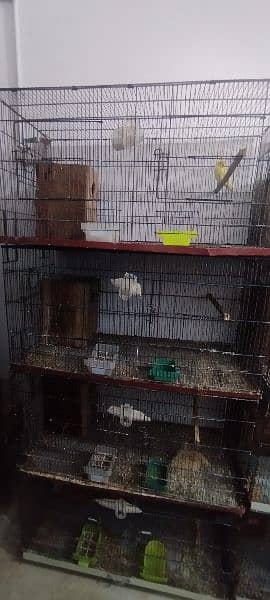 master cage for sale 1