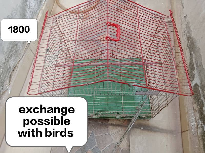 pair or cages exchange possible 3