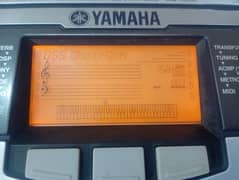 Yamaha & Casio