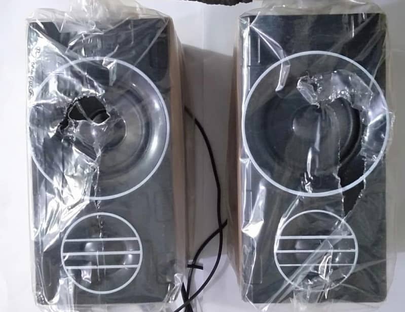 Double speaker sound 1