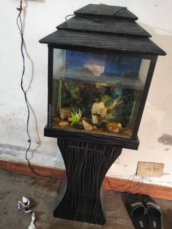 fish aquarium 2