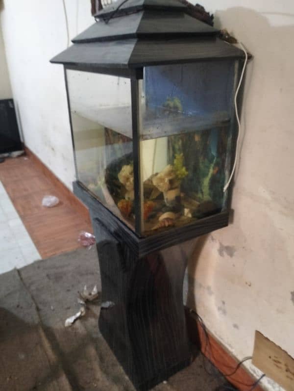 fish aquarium 4