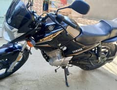 YBR 125