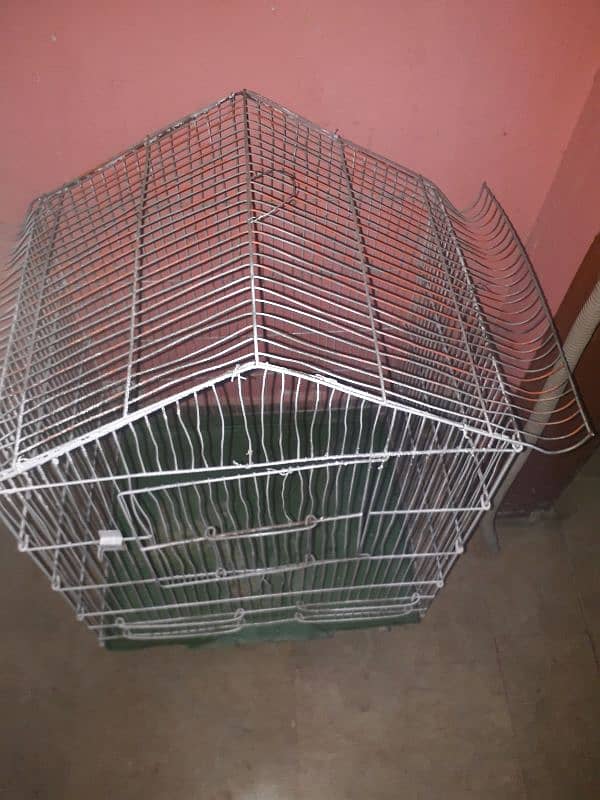 Pinjra/Cage 1