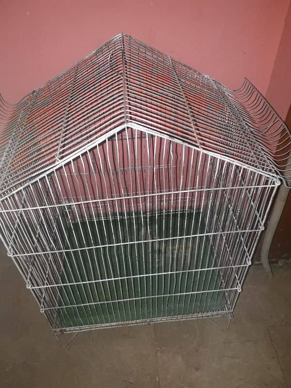 Pinjra/Cage 2