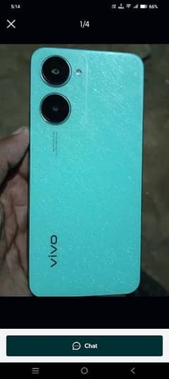 Vivo