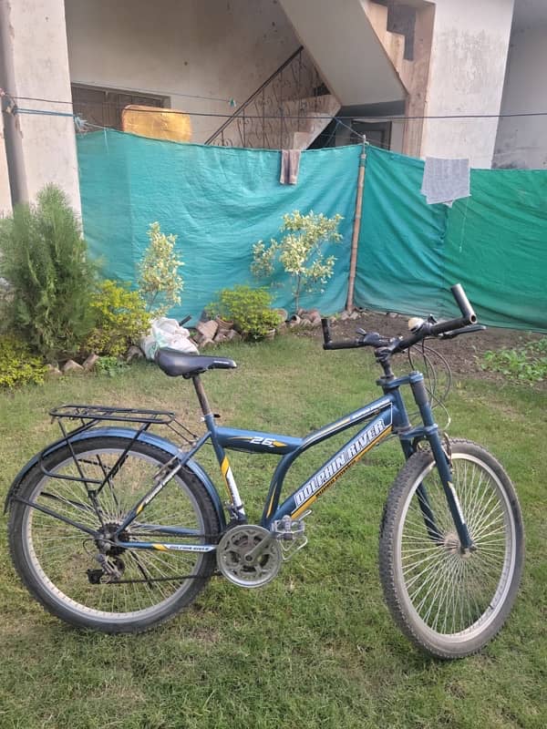 Dolphin River sports bicycle 1