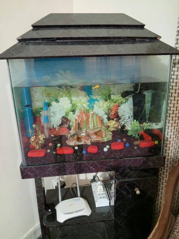 Fish aquarium 1