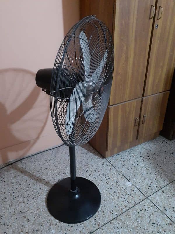 Slightly Used Royal FAN Almost New 1