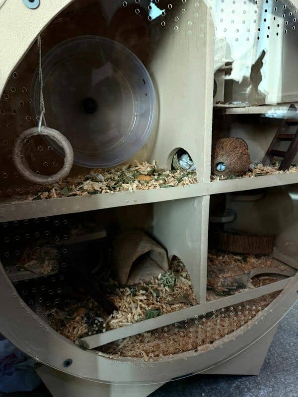 designer hamster shelter with hamster 0