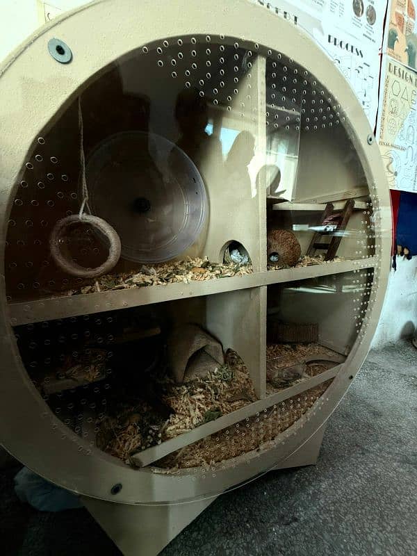 designer hamster shelter with hamster 1