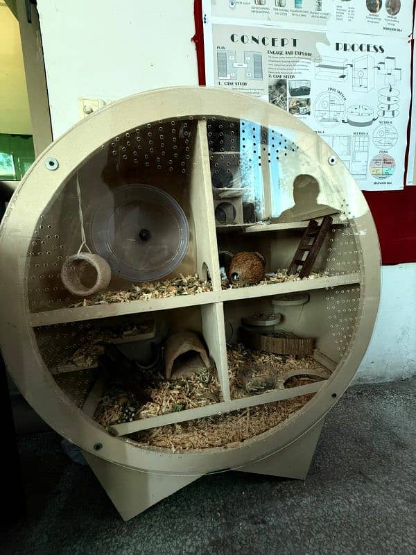 designer hamster shelter with hamster 2