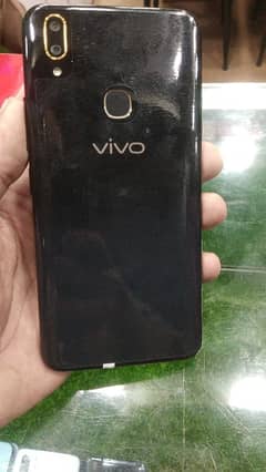 Vivo