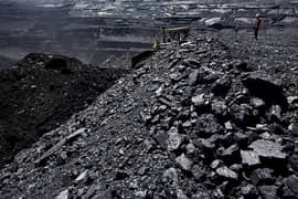 We deal in coal, importer, supplier, seller