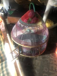 Bird Cage