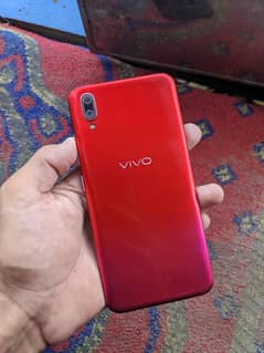 ViVo