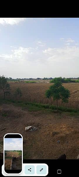 9 Acres Agricultural Land For Sale 2