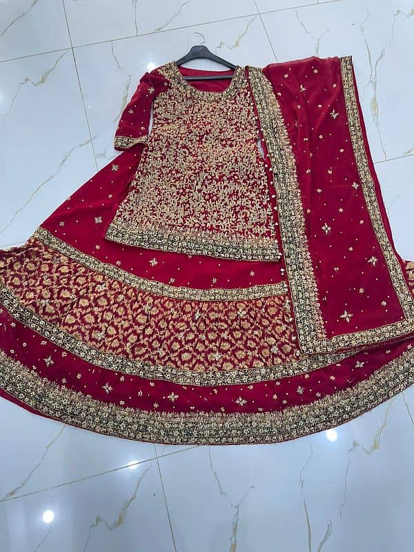 bridal farshi sharara 2