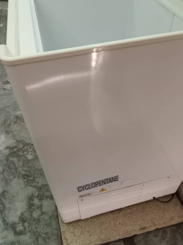 FREEZER AND FRIDGE 5