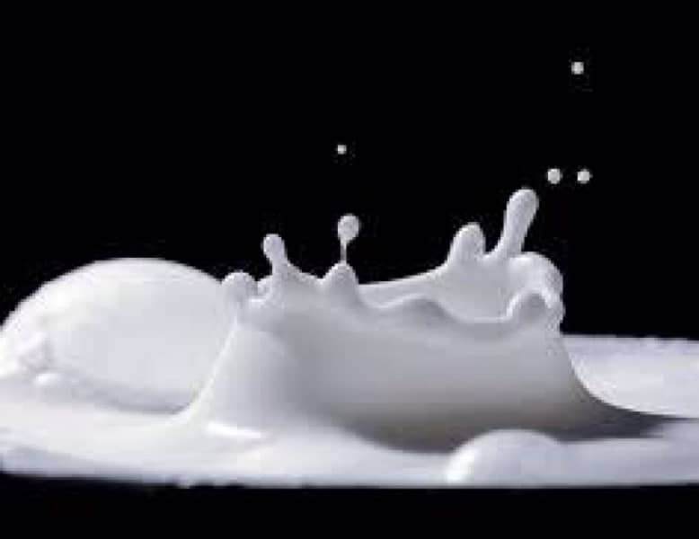 milk 270 per kg 0