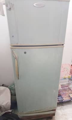 refrigerator