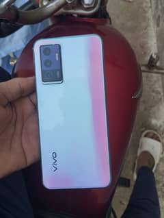 vivo