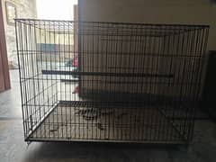 Raw Parrot Cages