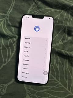 iPhone 13 Pro Max panel /display