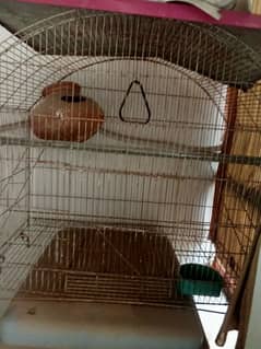 bird cage