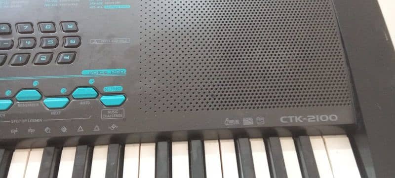 Yamaha & Casio 15