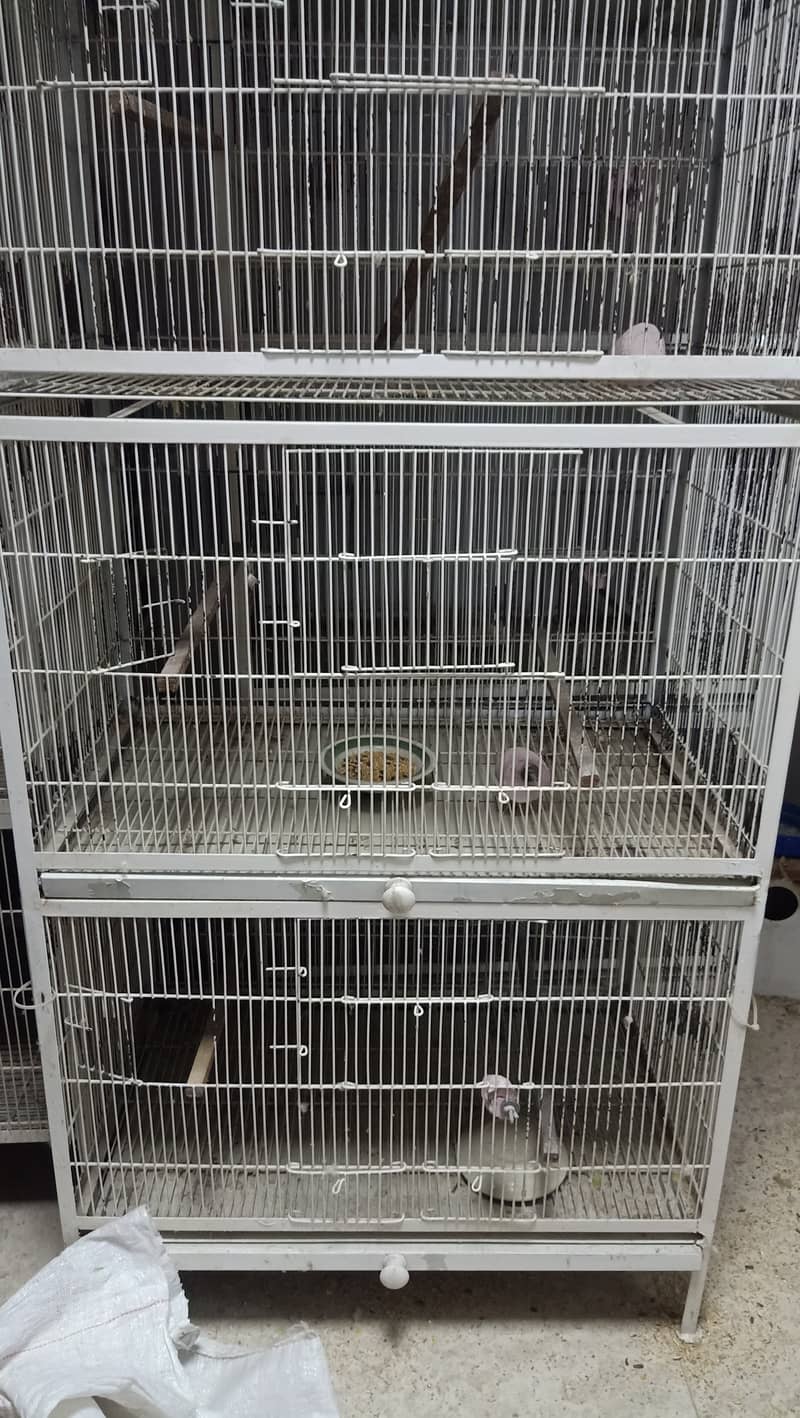 Cages and PVC box's sale 0