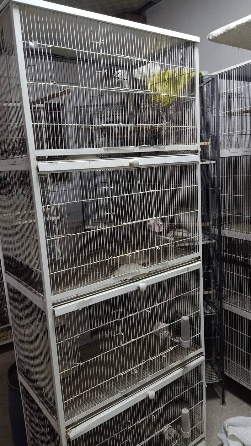 Cages and PVC box's sale 1