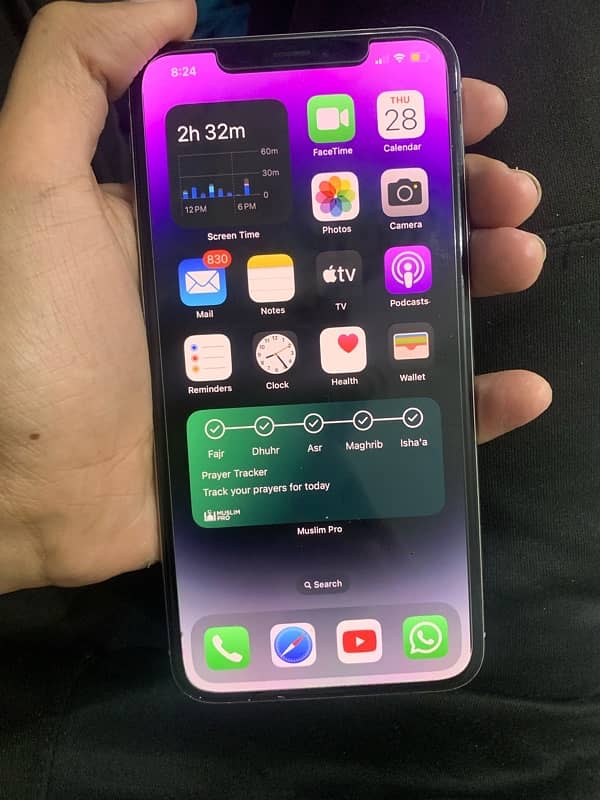 i phone xs max 256gb 2