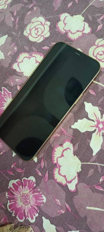 iphone 12 pro max PTA approved 0