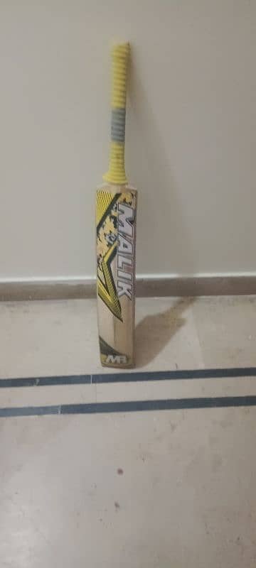 cricket bat and gloves in good price 1