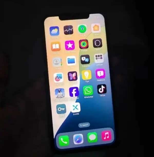 IPhone XS Max 256 Gb 2