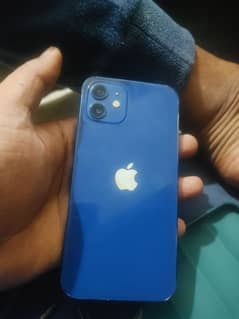 iphone 12 pta approved