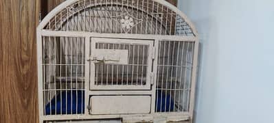 big parrot cage