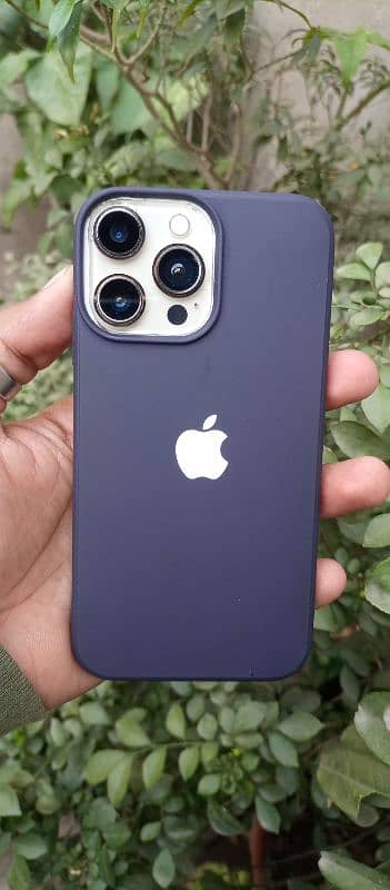 iPhone XR Converted 13 pro 0