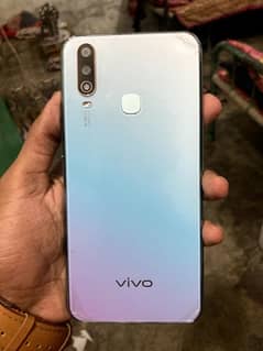 Vivo