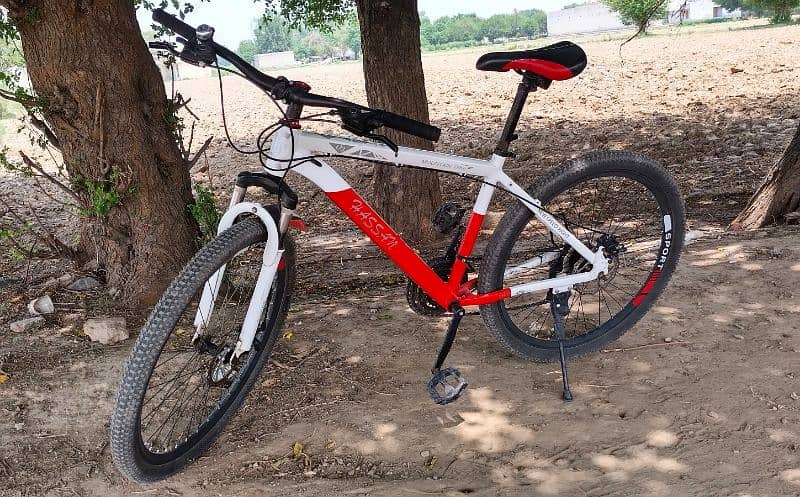 Almonim frem mountain bike 2