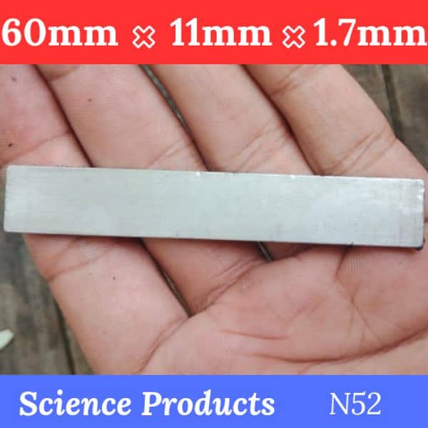 Neodymium Magnet 19